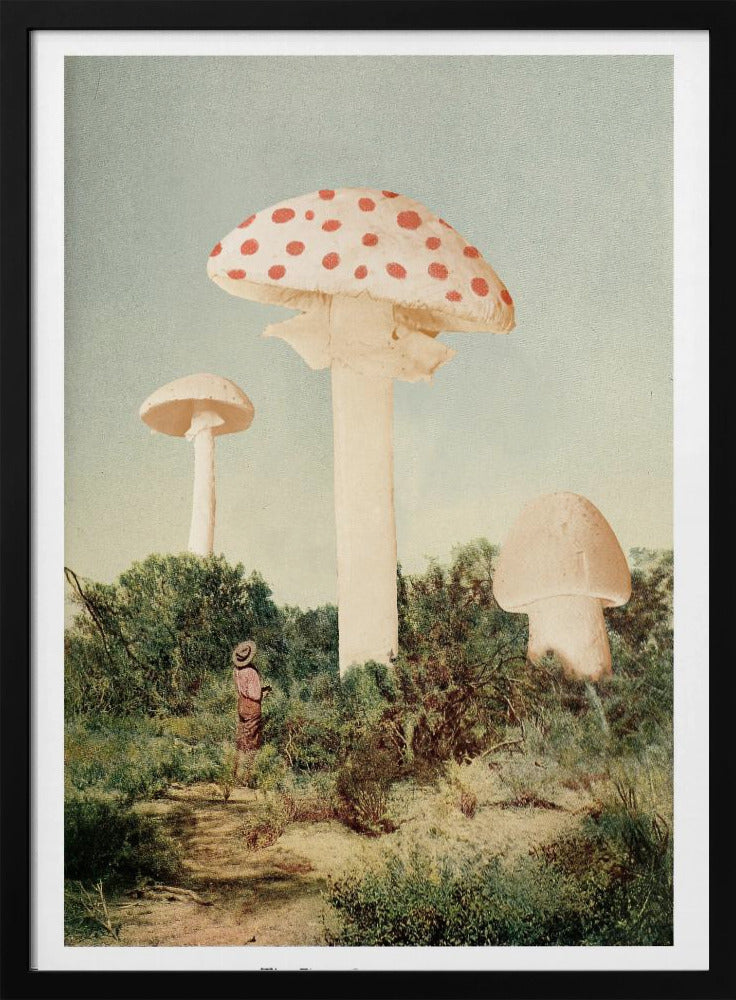 The Finest Giant Mushroom | Poster