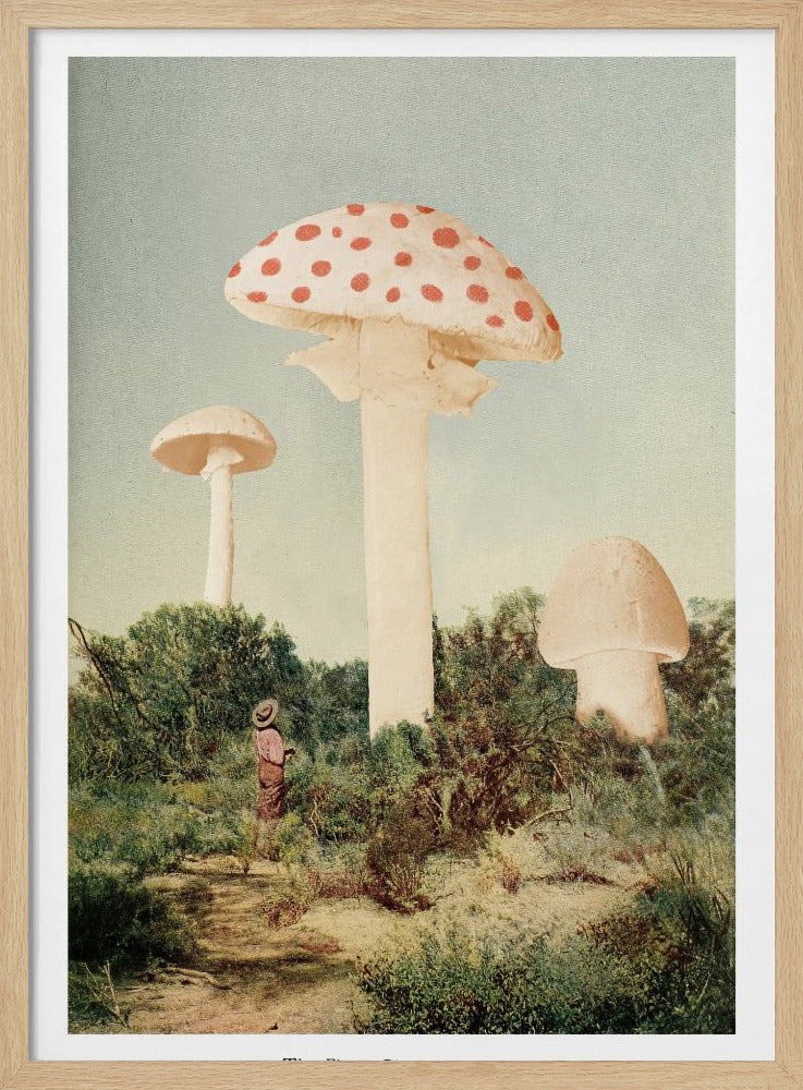 The Finest Giant Mushroom | Poster
