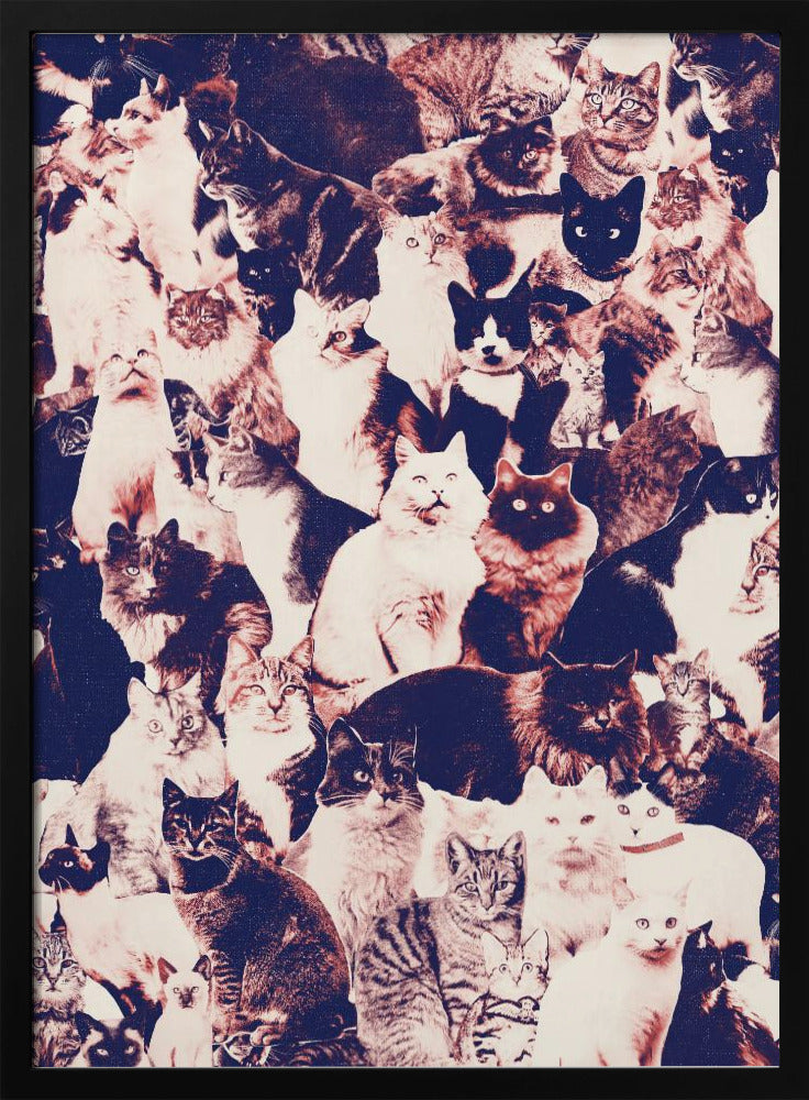 Cats Forever | Poster