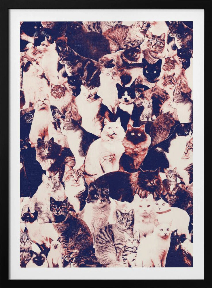 Cats Forever | Poster