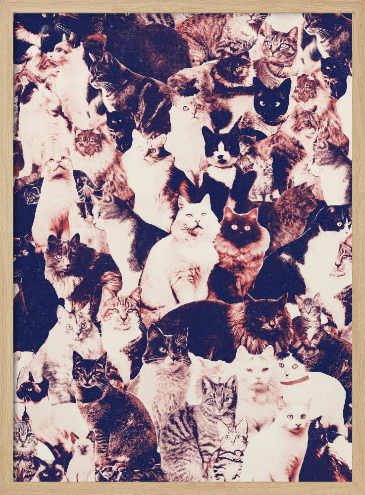 Cats Forever | Poster