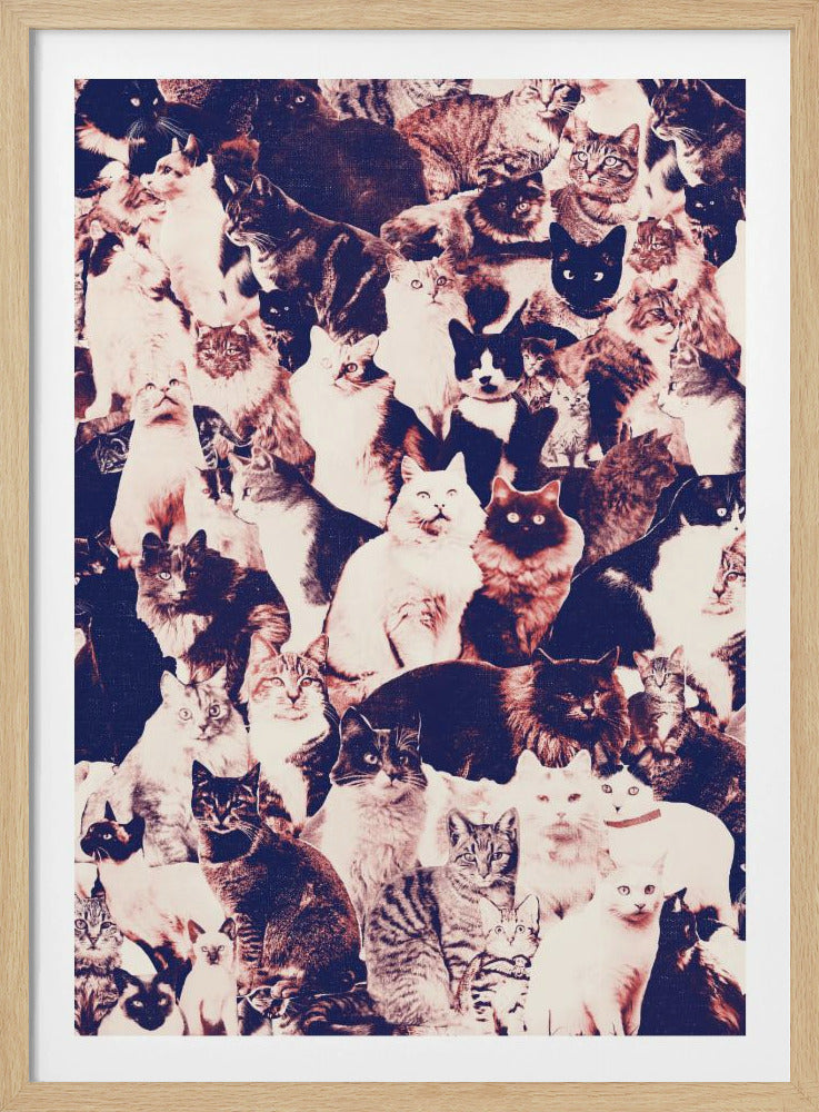Cats Forever | Poster