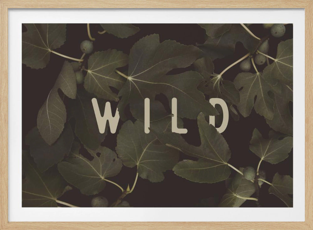 Wild Nº1 | Poster