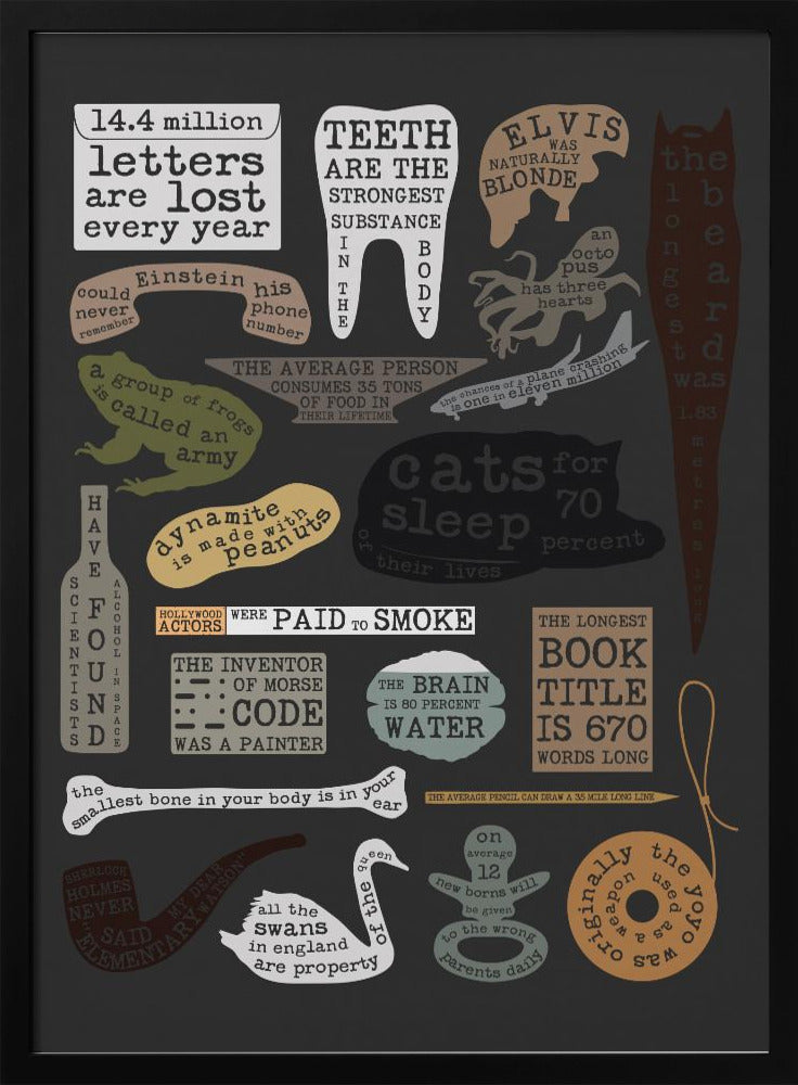 Useful Facts | Poster