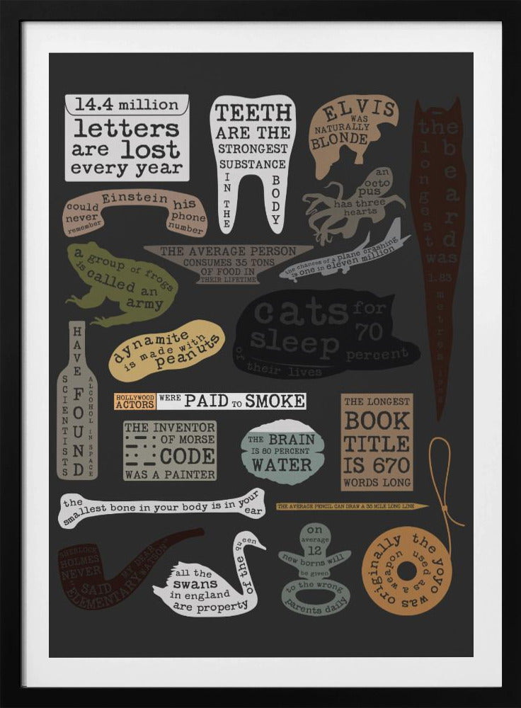 Useful Facts | Poster