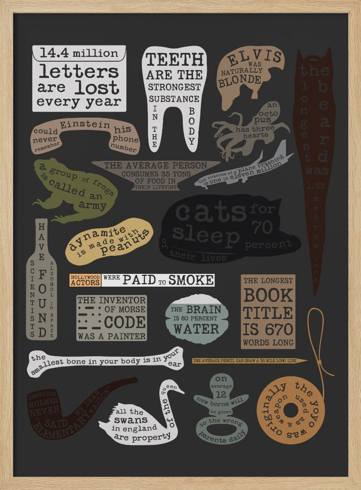 Useful Facts | Poster