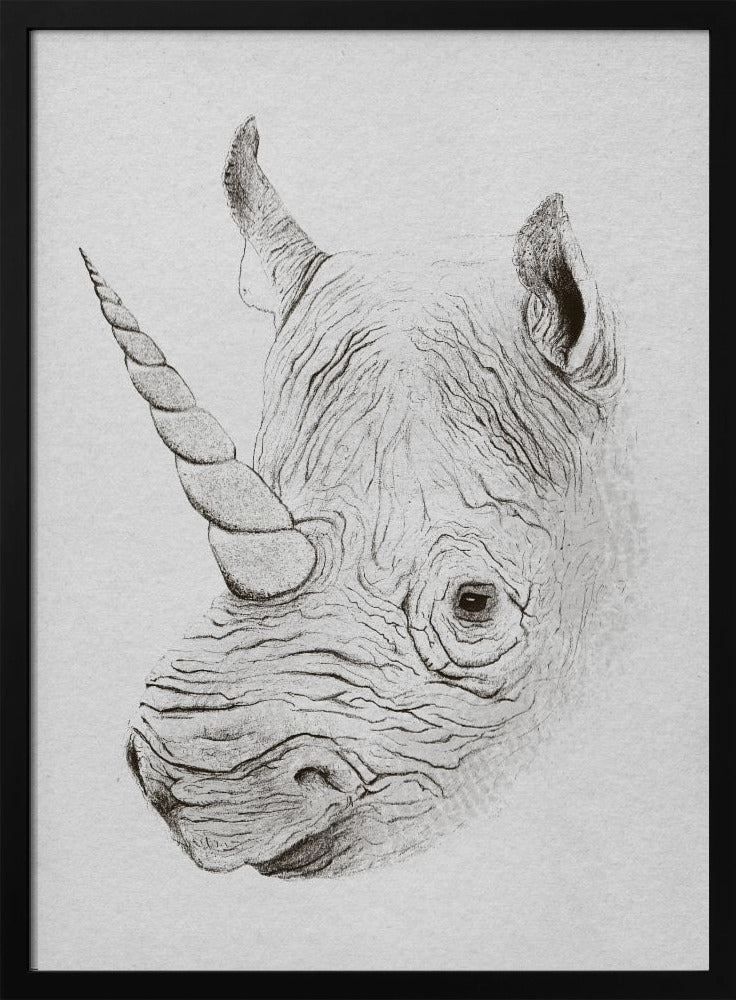 Rhinoplasty | Poster