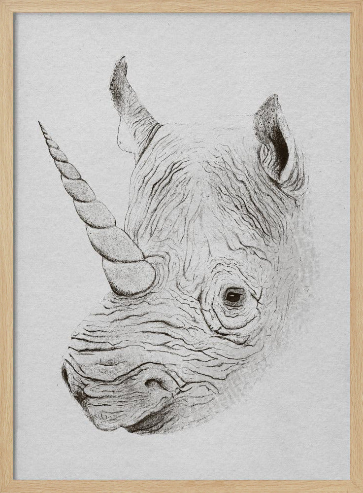 Rhinoplasty | Poster