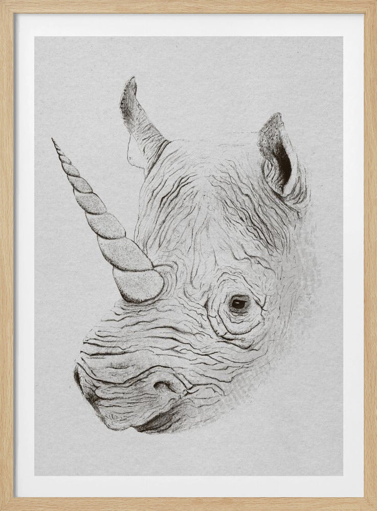 Rhinoplasty | Poster