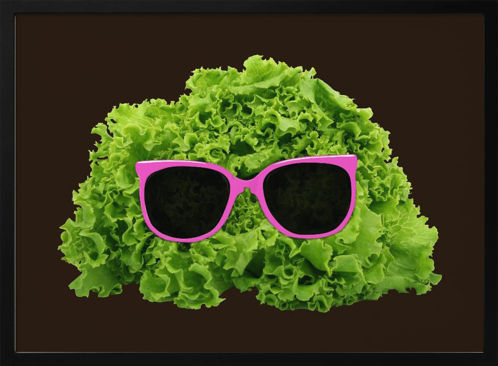Mr Salad | Poster
