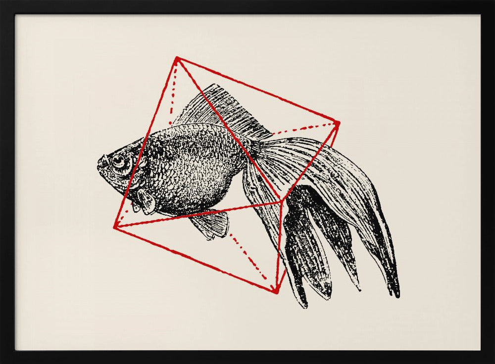 Fish In Geometrics Nº3 | Poster