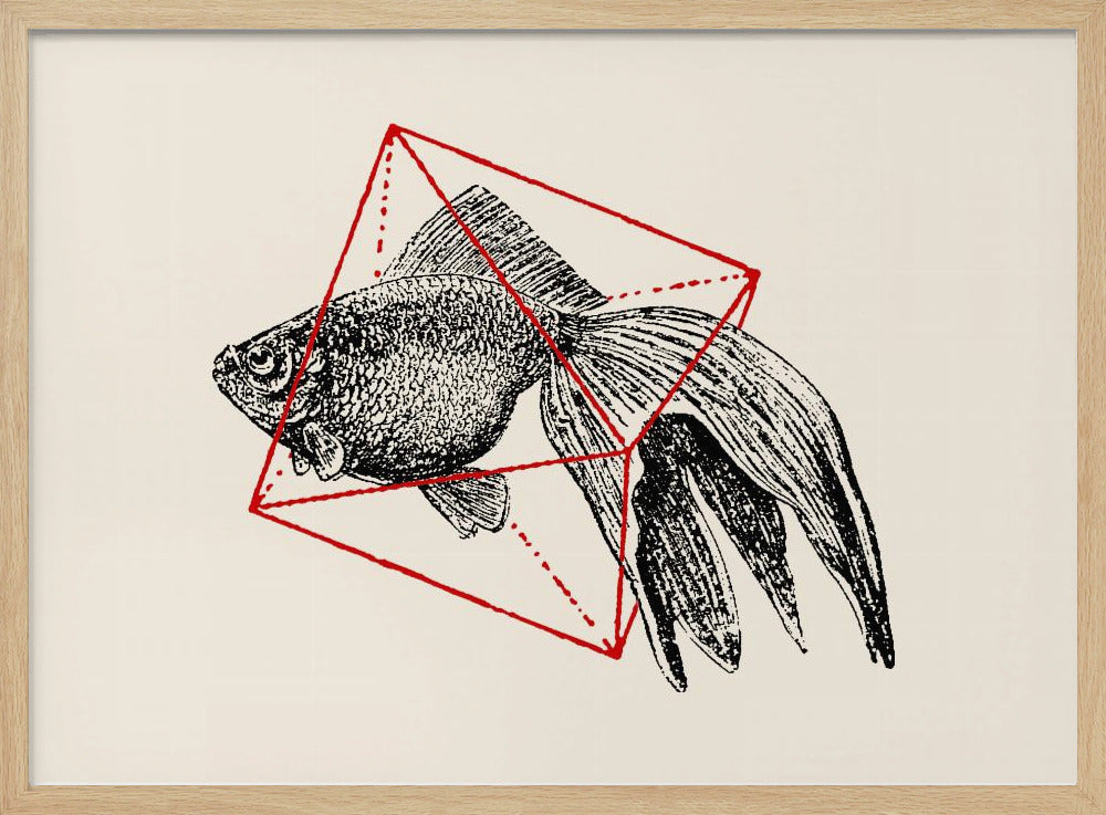 Fish In Geometrics Nº3 | Poster