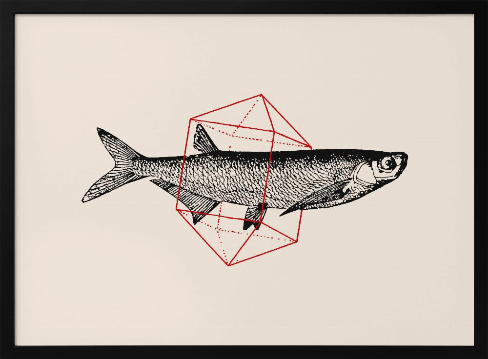 Fish In Geometrics Nº2 | Poster