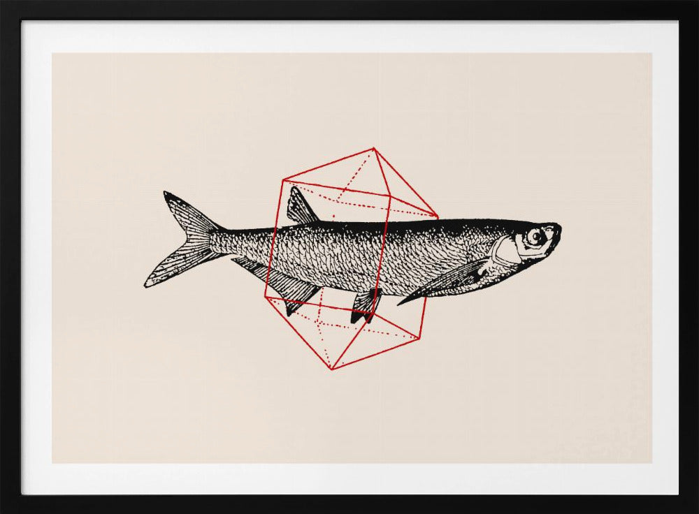 Fish In Geometrics Nº2 | Poster