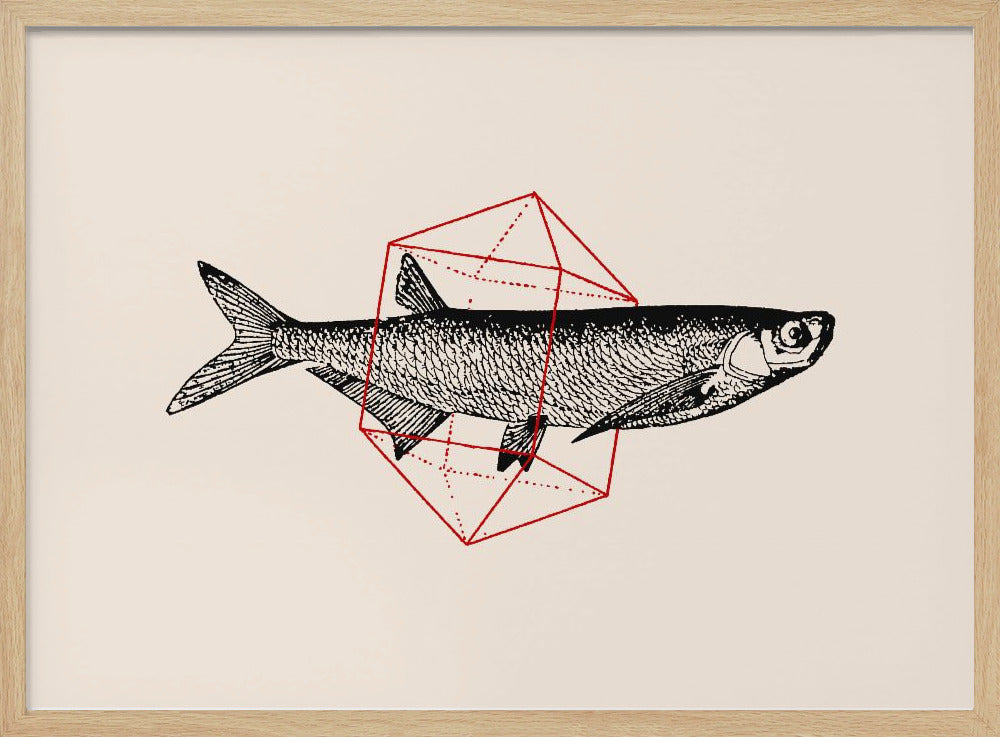 Fish In Geometrics Nº2 | Poster