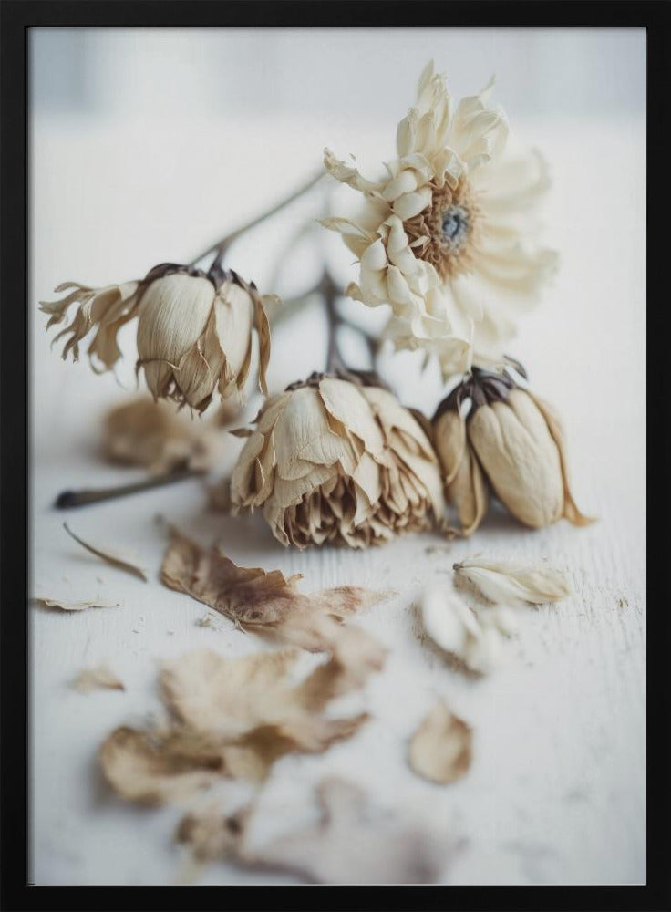 Faded Elegance | Poster