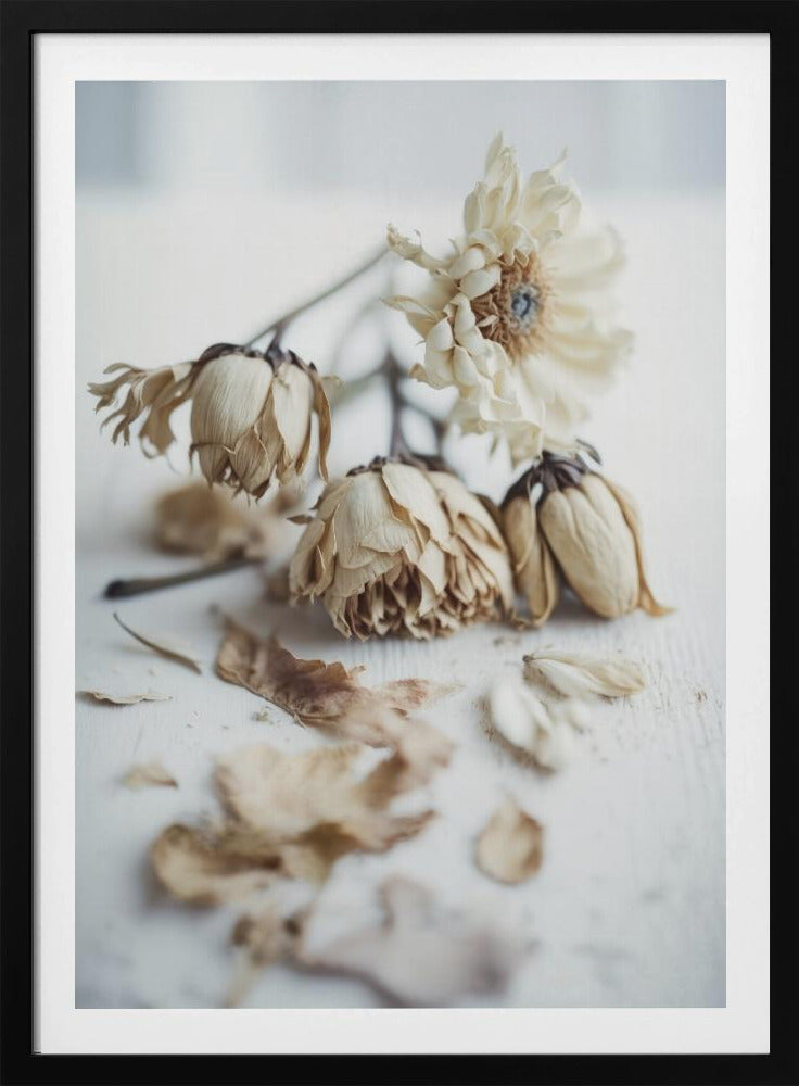 Faded Elegance | Poster