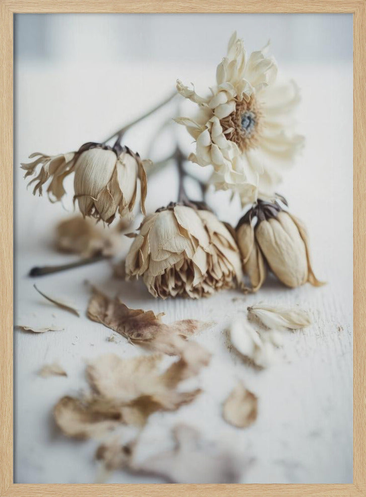 Faded Elegance | Poster