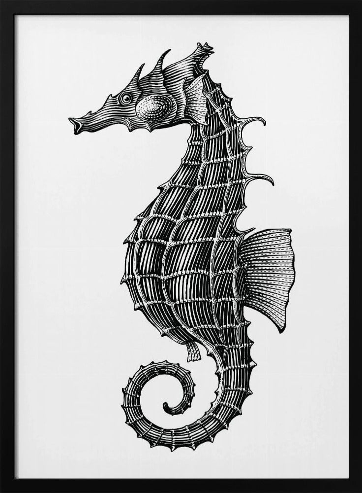 Seahorse | Poster