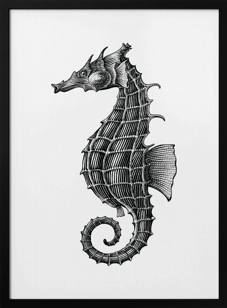 Seahorse | Poster