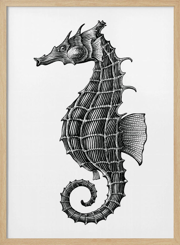 Seahorse | Poster