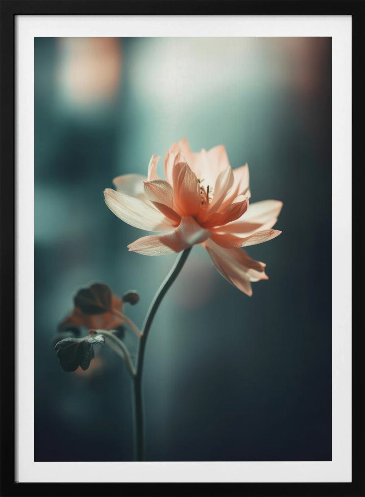Petal Serenity | Poster
