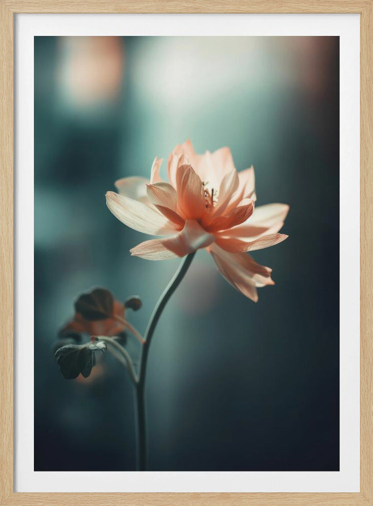 Petal Serenity | Poster