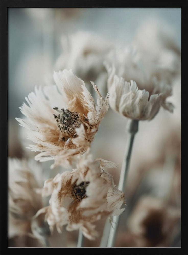 Whispering Petals | Poster