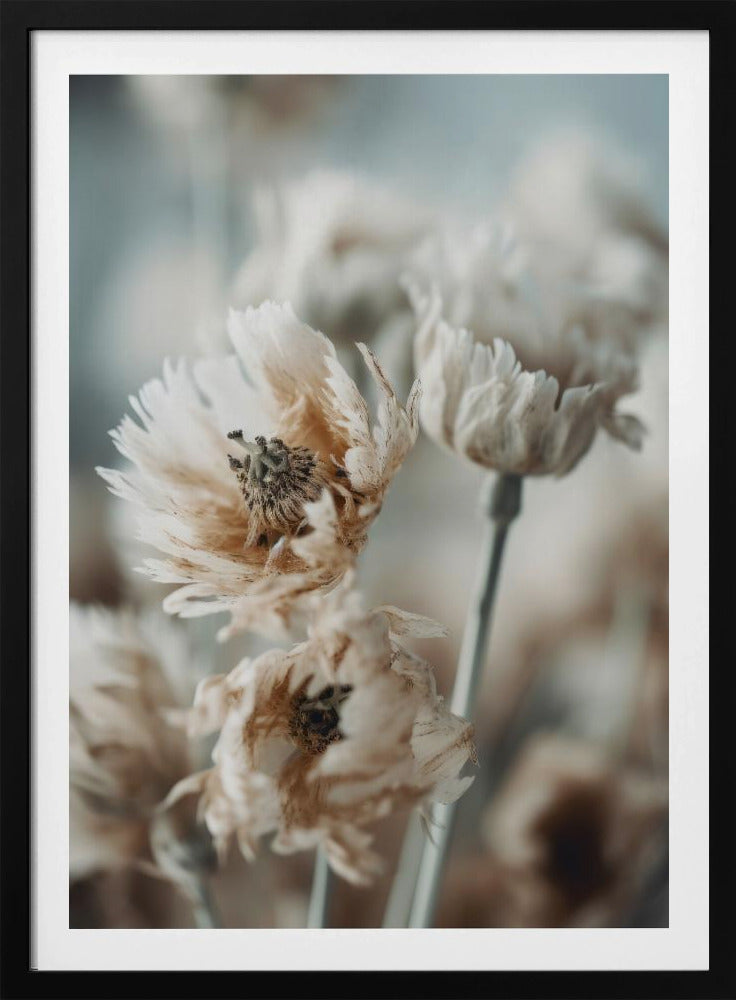 Whispering Petals | Poster