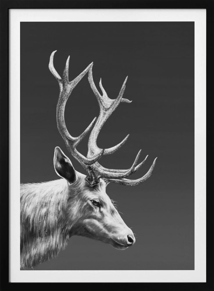 Reindeer | Poster