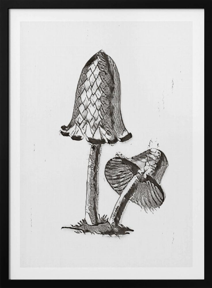Vintage Inky Cap Edible Mushroom BW Bright | Poster