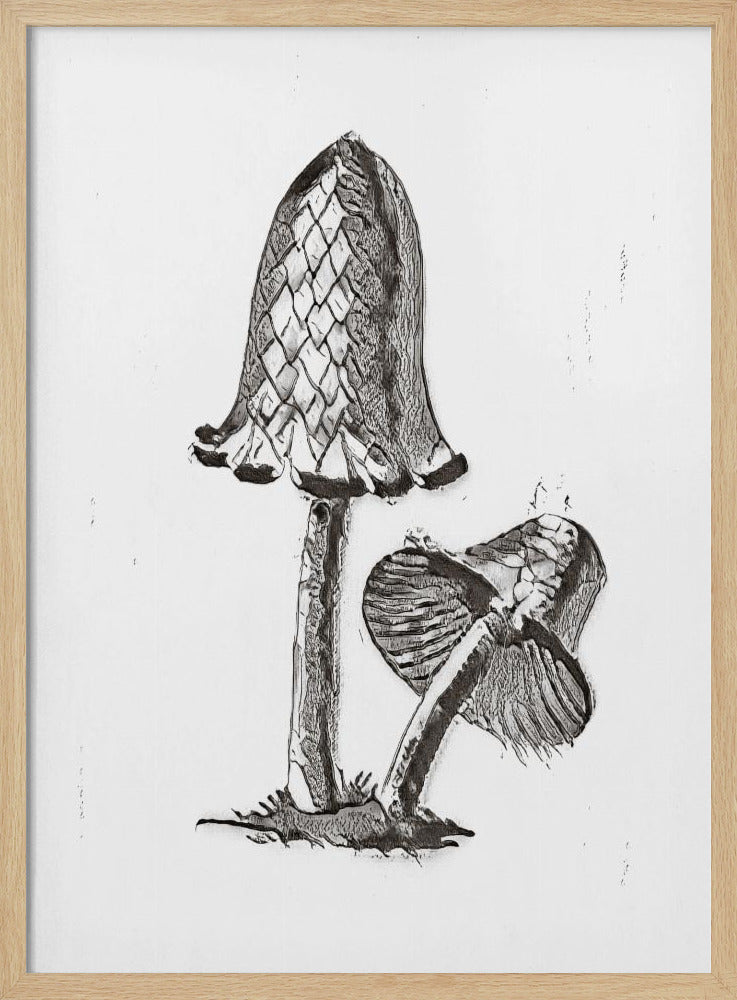 Vintage Inky Cap Edible Mushroom BW Bright | Poster