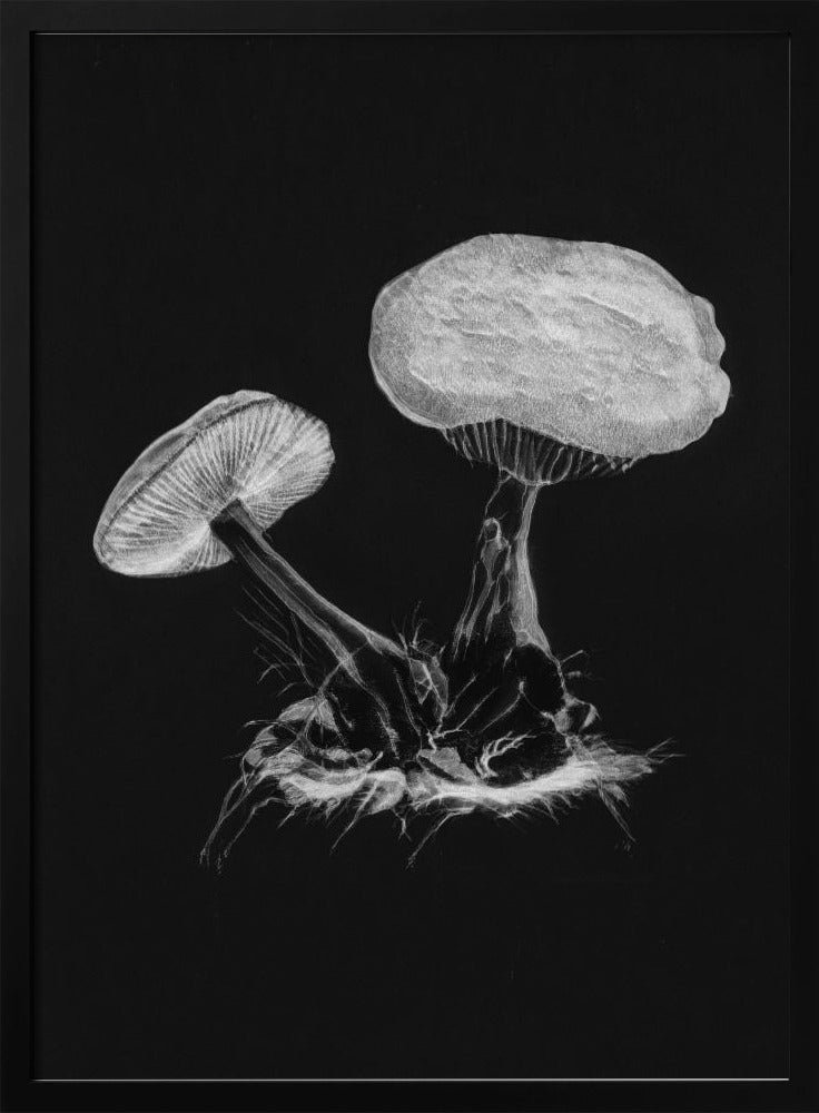 Vintage Violet Webcap Mushroom Dark BW | Poster