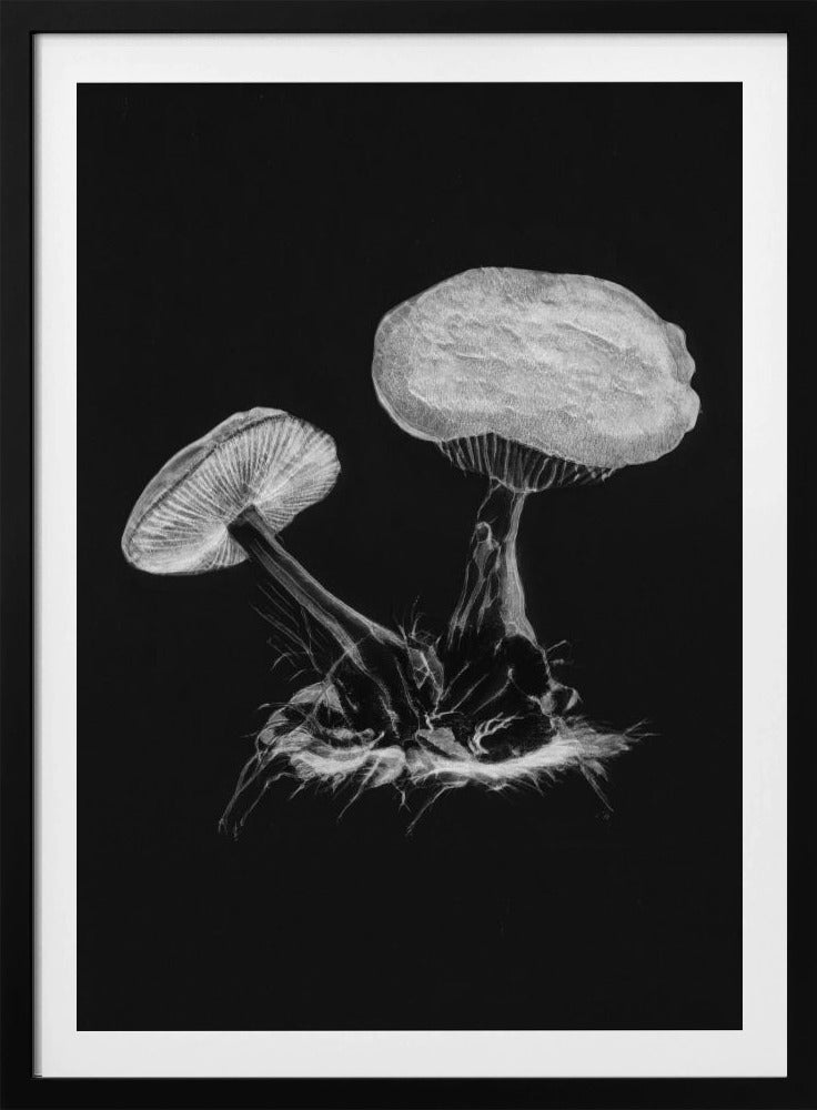Vintage Violet Webcap Mushroom Dark BW | Poster