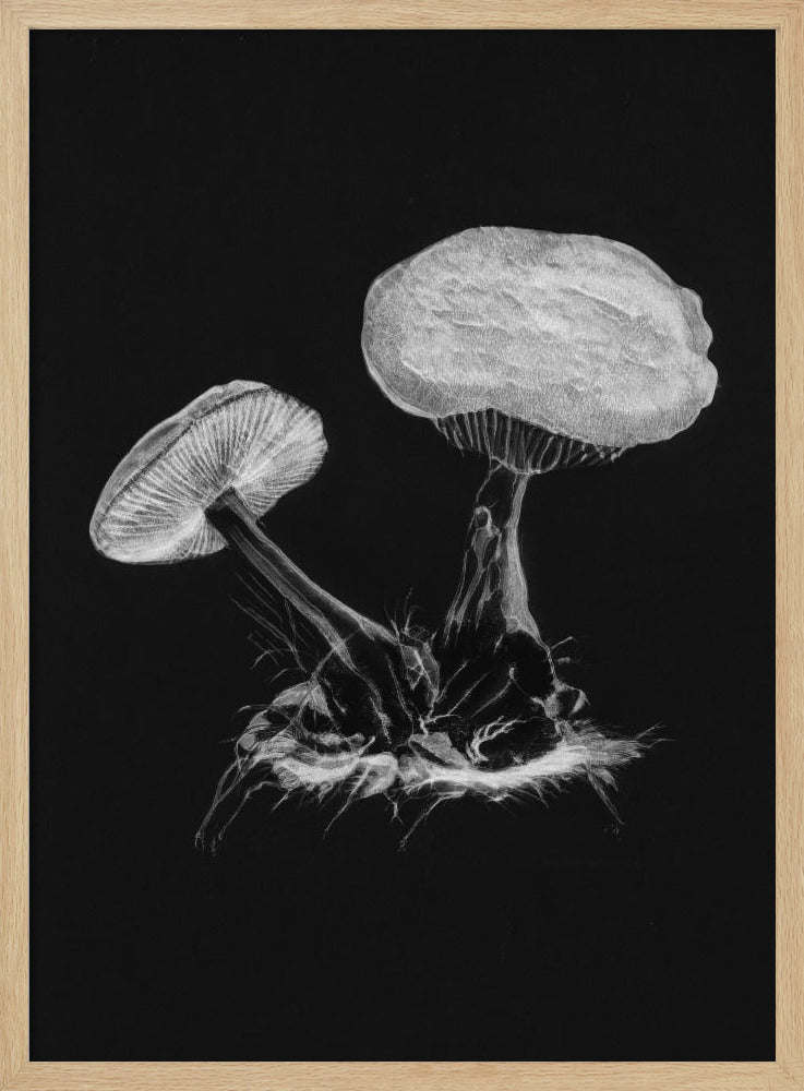 Vintage Violet Webcap Mushroom Dark BW | Poster
