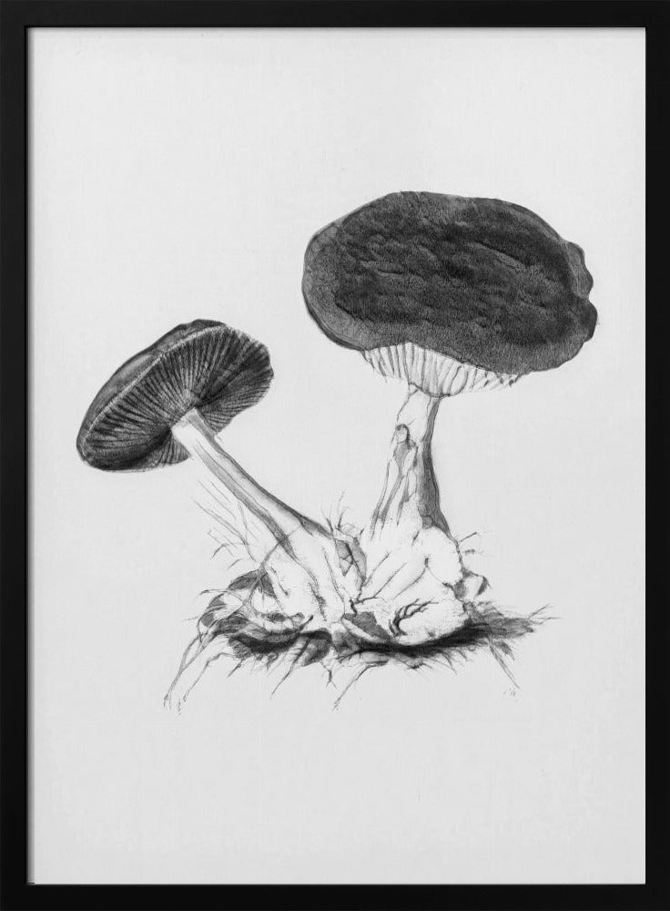 Vintage Violet Webcap Mushroom Bright BW | Poster