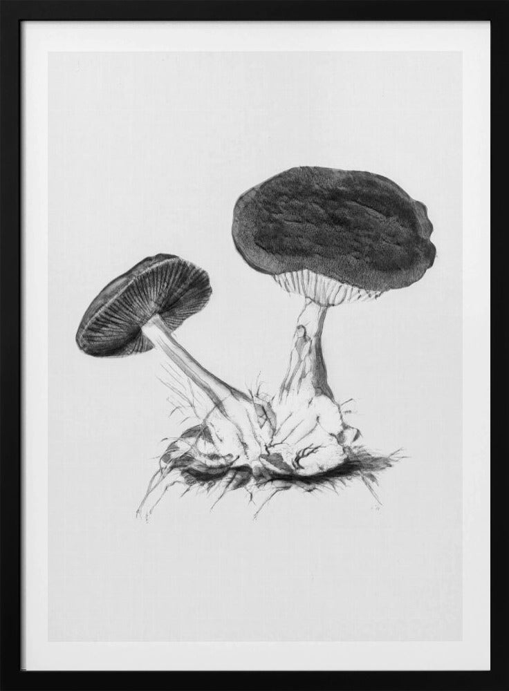 Vintage Violet Webcap Mushroom Bright BW | Poster