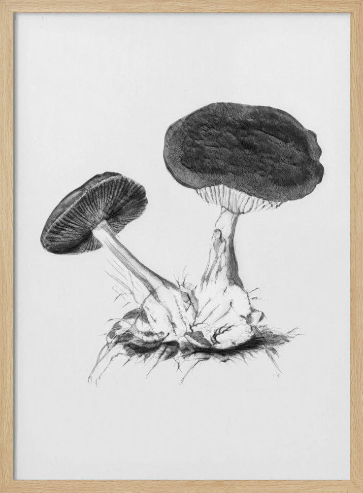 Vintage Violet Webcap Mushroom Bright BW | Poster