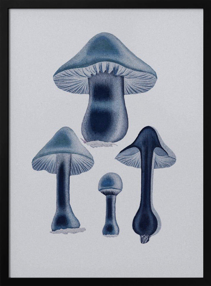 Agaricus Bulbosus - Blue | Poster