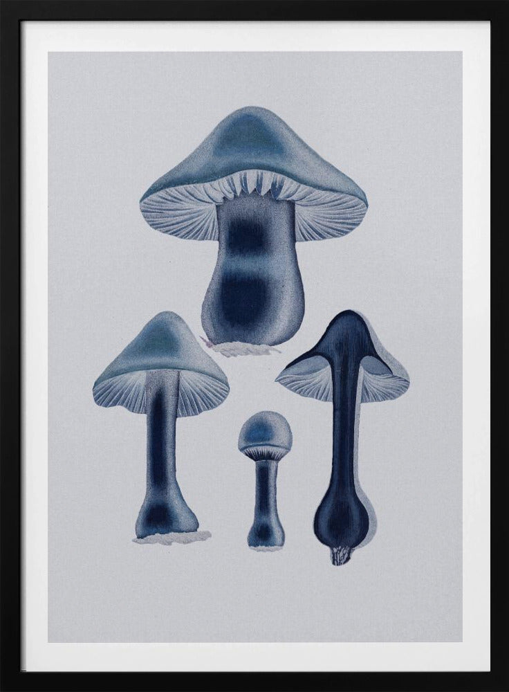 Agaricus Bulbosus - Blue | Poster