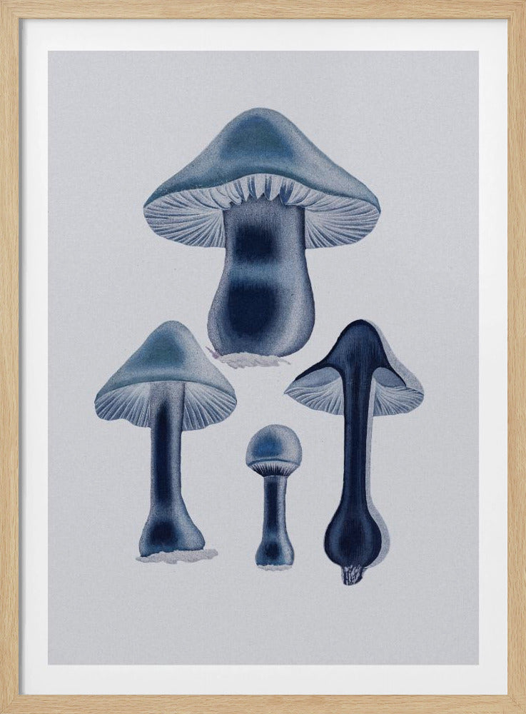 Agaricus Bulbosus - Blue | Poster