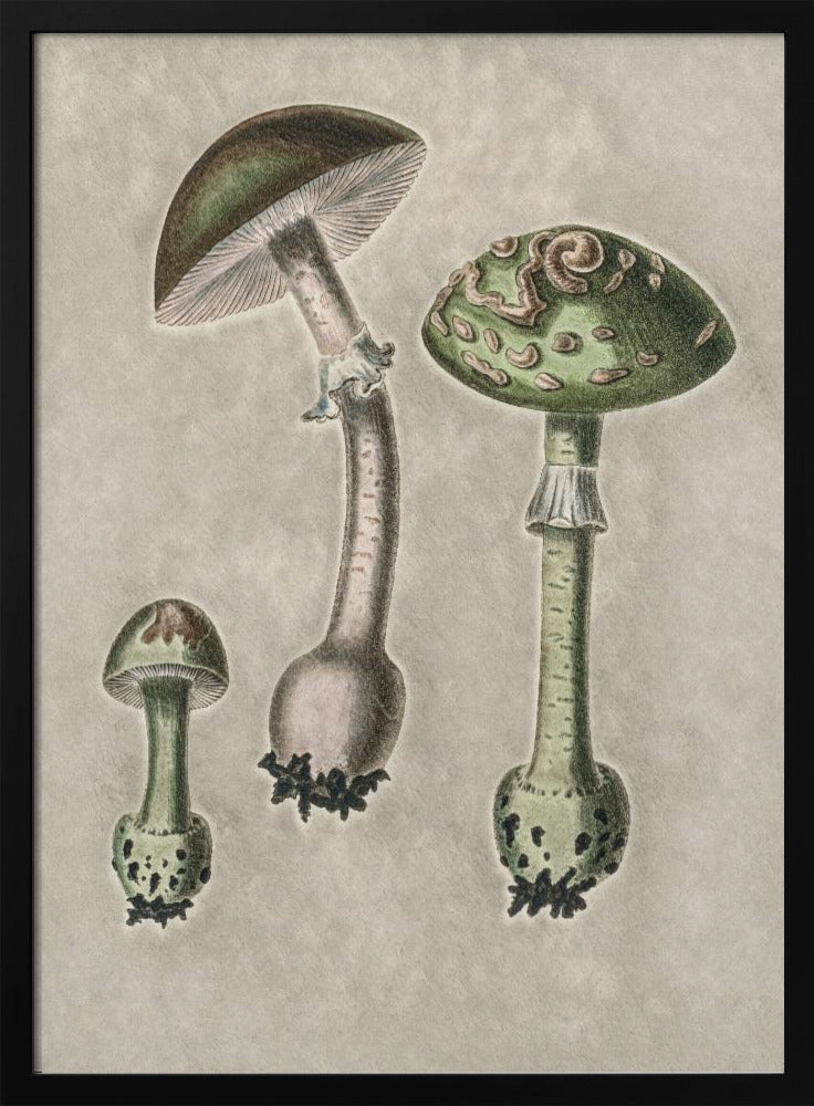 Amanita Muscaria Remix Green | Poster