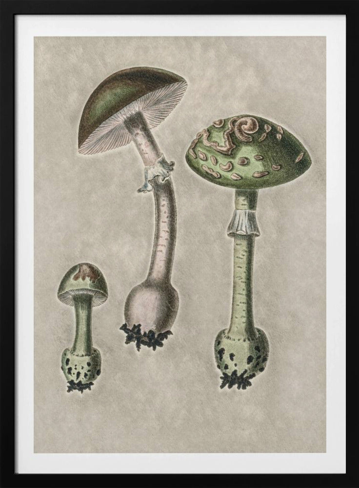 Amanita Muscaria Remix Green | Poster