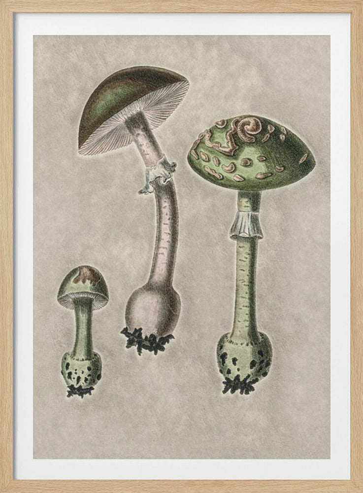 Amanita Muscaria Remix Green | Poster