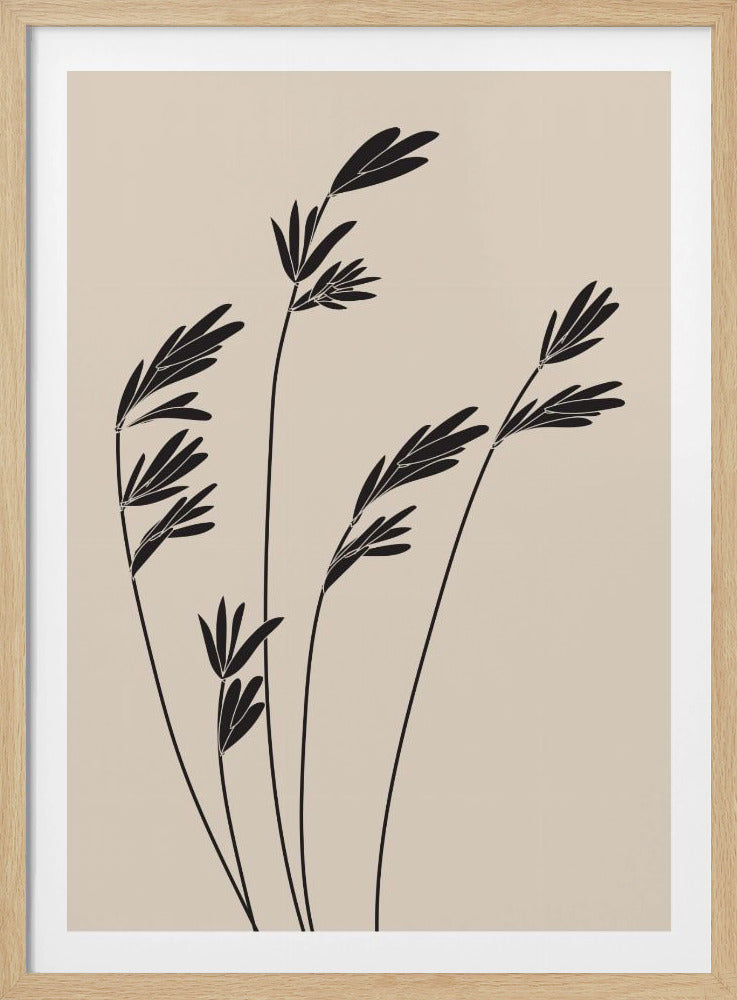 Black Plants | Poster