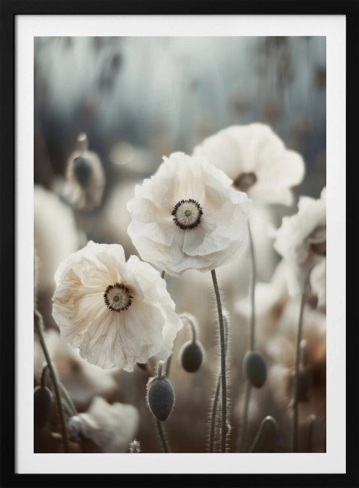 Whispers of Poppies | Poster