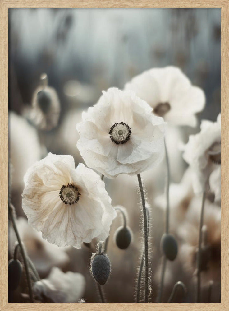 Whispers of Poppies | Poster