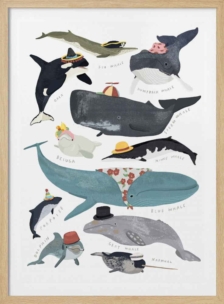 Whales In Hats | Poster