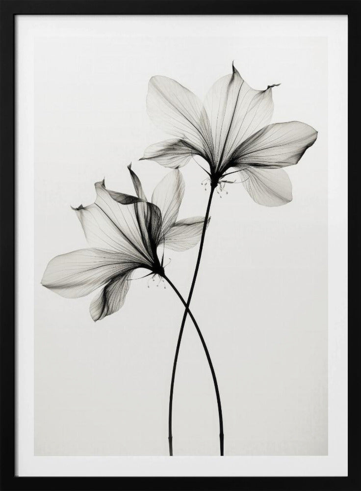 Whispers of Petals | Poster