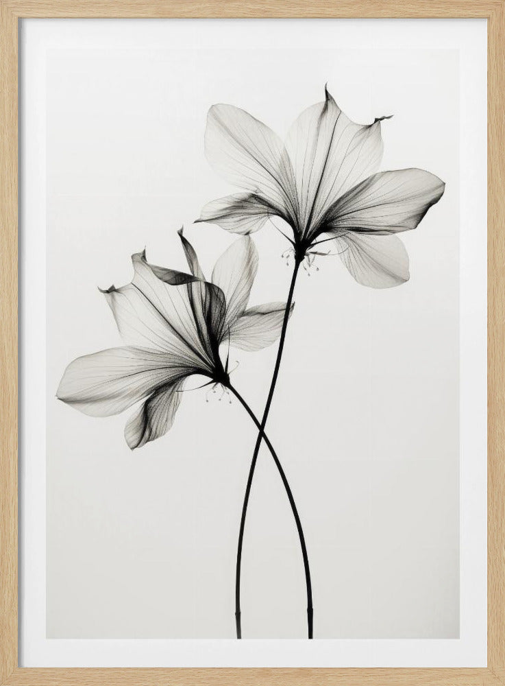 Whispers of Petals | Poster